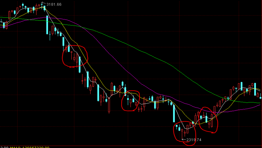 政策“加码”,“稳”字当头,张家口“就业之笔”持续擦亮民生幸福底色