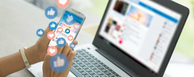 养鸭废水处理工艺方案分享(养鸭子池塘水怎么净化)