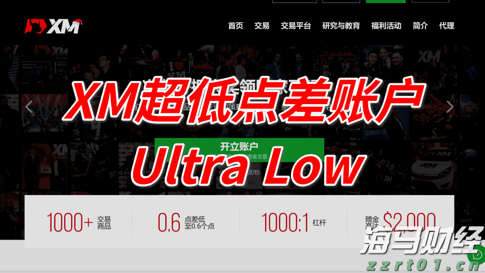 潮州茶园“生态加减法”：“茶草共生”模式激活茶产业绿色转型新路径