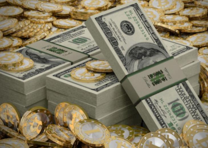 张家口优育严选打造北方特色农作物良种繁育基地